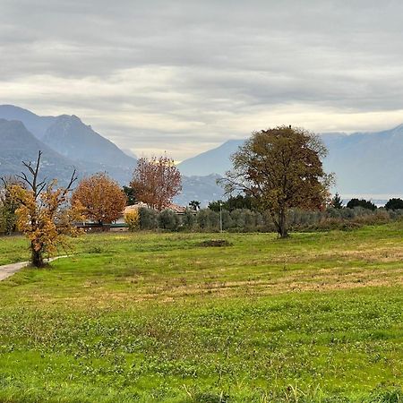 La Finestra Sul Garda Dreaming Holidays San Felice del Benaco Buitenkant foto