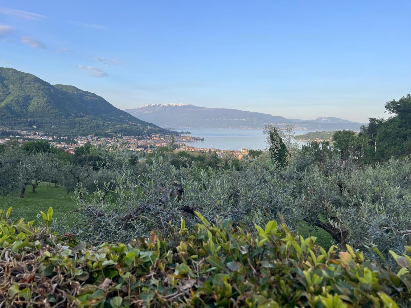 La Finestra Sul Garda Dreaming Holidays San Felice del Benaco Buitenkant foto