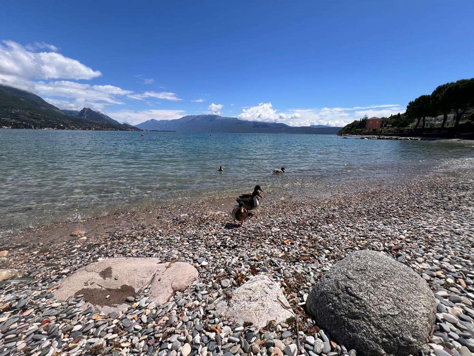 La Finestra Sul Garda Dreaming Holidays San Felice del Benaco Buitenkant foto
