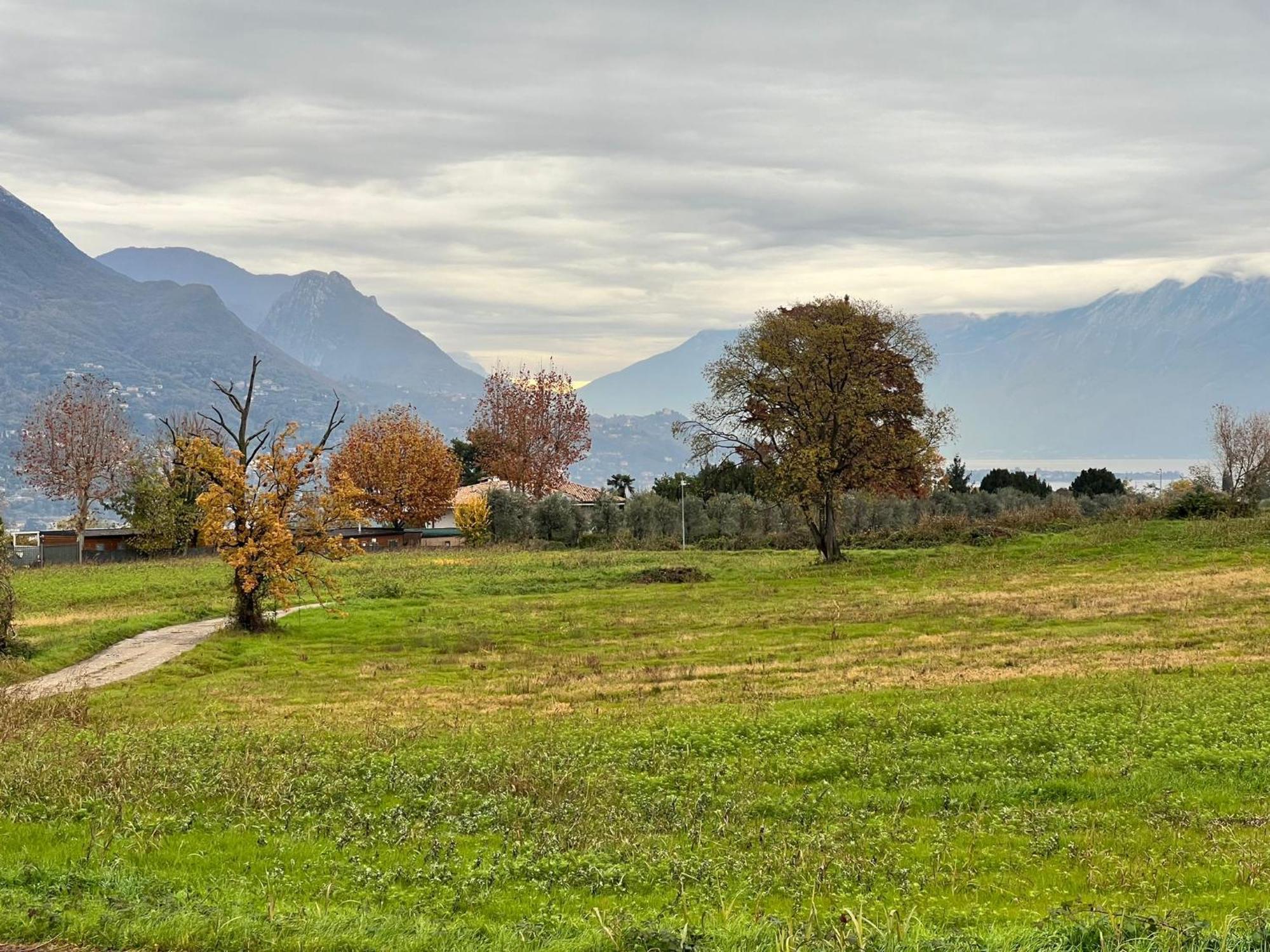 La Finestra Sul Garda Dreaming Holidays San Felice del Benaco Buitenkant foto