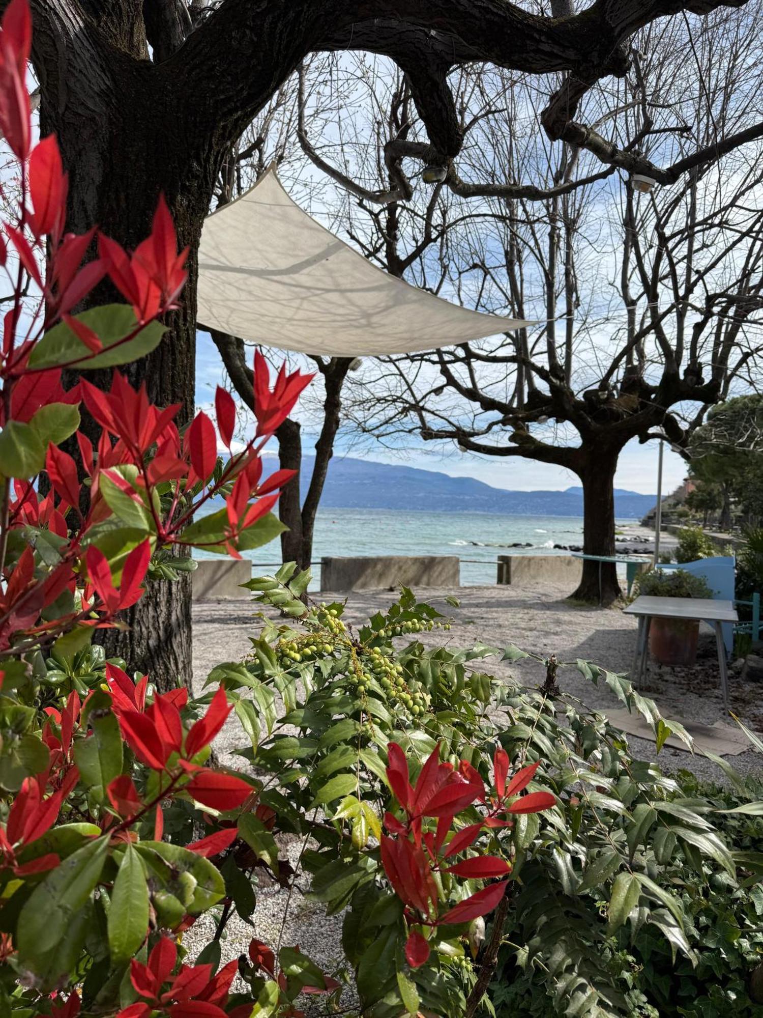 La Finestra Sul Garda Dreaming Holidays San Felice del Benaco Buitenkant foto
